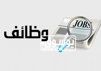 مطلوب وظيفة مدخل بيانات عن بعد C9916FDA-7048-4940-8CD3-E4E12790F72E