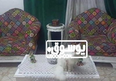 انترية مودرن للبيع WhatsApp-Image-2022-12-27-at-19.56.50