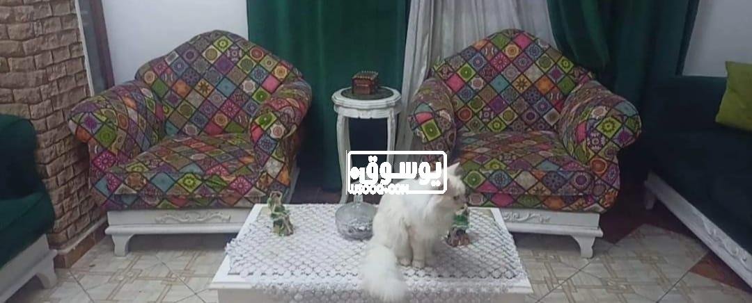 انترية مودرن للبيع