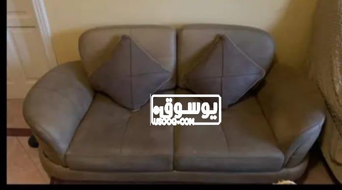 انترية للبيع