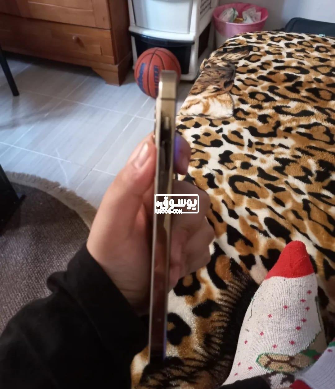 تلفون ابل للبيع