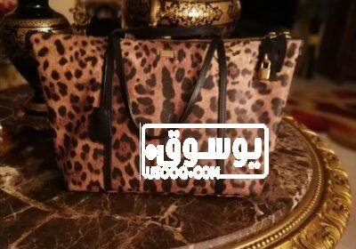 للبيع شنطة حريمى تايجر ماركة فى مدينة نصر WhatsApp-Image-2023-01-08-at-20.51.50