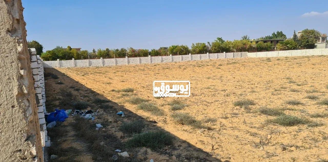 قطعة ارض للايجار السنوى تلاتة فدان على طريق اسكندرية