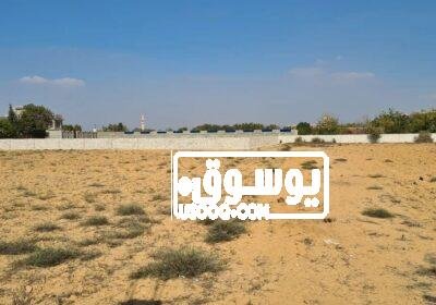 قطعة ارض للايجار السنوى تلاتة فدان على طريق اسكندرية WhatsApp-Image-2023-01-28-at-11.52.05-PM