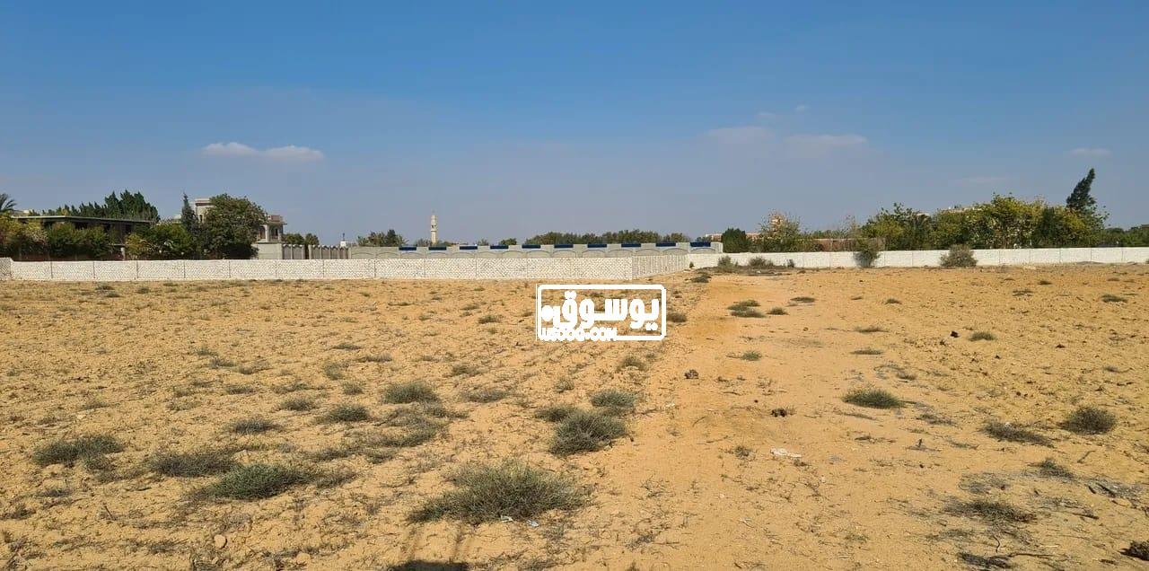 قطعة ارض للايجار السنوى تلاتة فدان على طريق اسكندرية