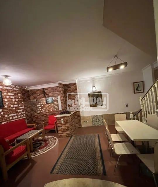 دوبلكس مفروش مودرن فى المعادى منطقة راقية للايجار