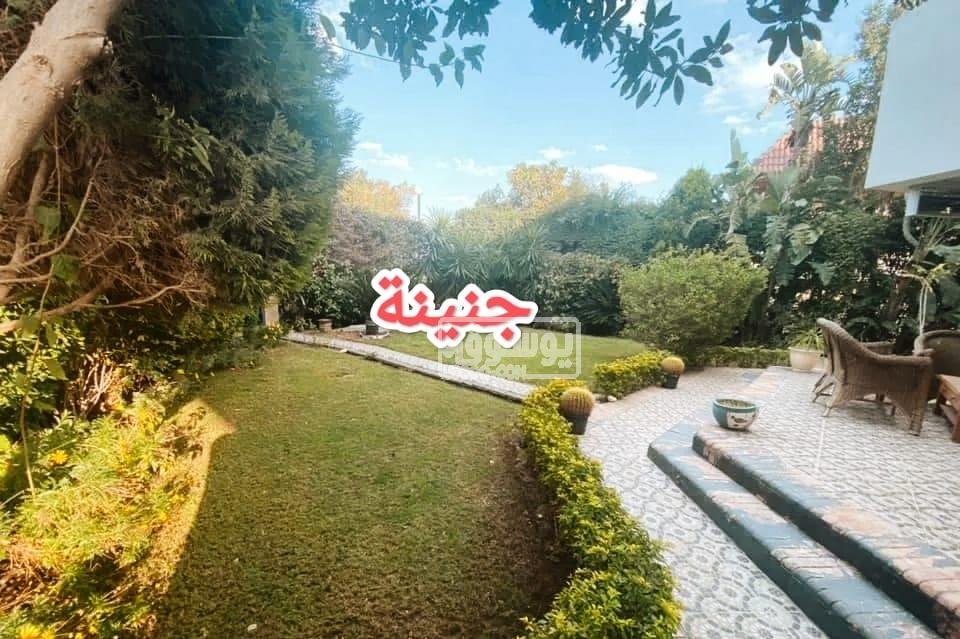 لمحبى الاماكن الواسعة فرش ذوق راقى فيلا للايجار بالشيخ زايد