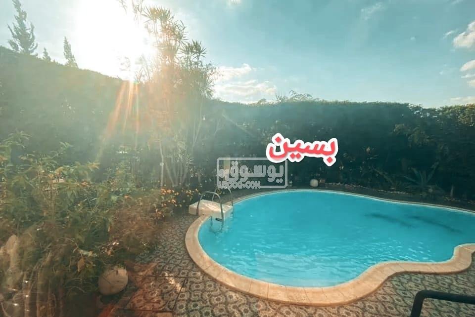 لمحبى الاماكن الواسعة فرش ذوق راقى فيلا للايجار بالشيخ زايد