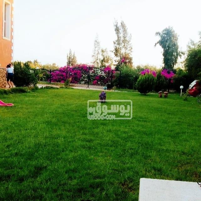 للايجارمزرعة فيلا مفروشة على مساحة 4200 م طريق مصر اسكندرية