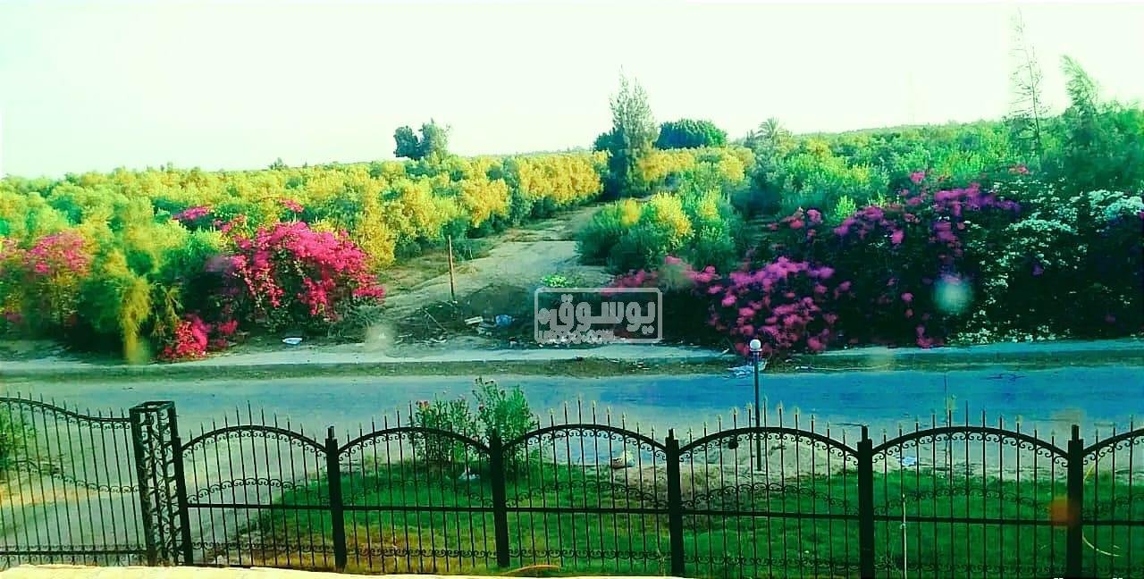 للايجارمزرعة فيلا مفروشة على مساحة 4200 م طريق مصر اسكندرية