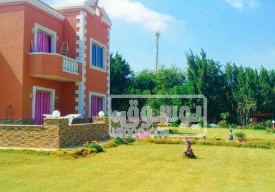 للايجارمزرعة فيلا مفروشة على مساحة 4200 م طريق مصر اسكندرية WhatsApp-Image-2023-02-07-at-11.31.03-PM
