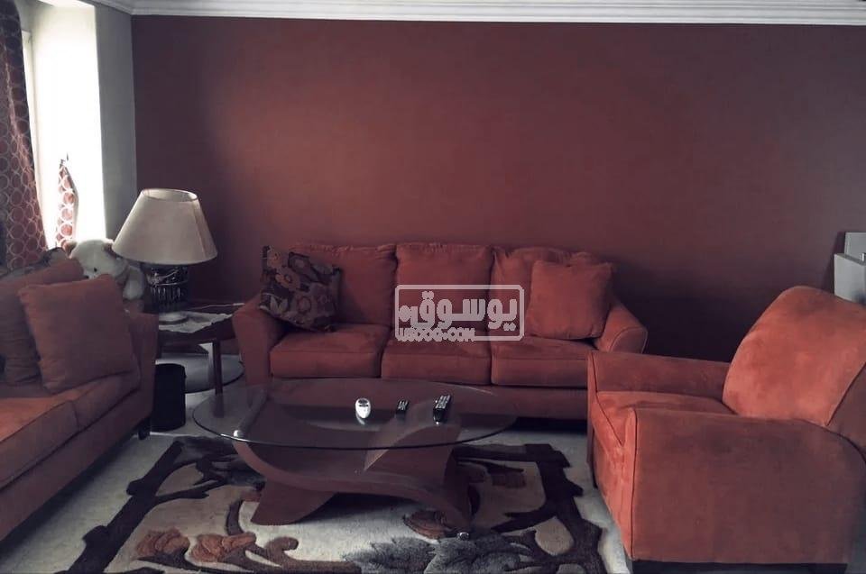 شقة ايجار يومى تطل على النيل مفروشة فرش كامل بالمعادى