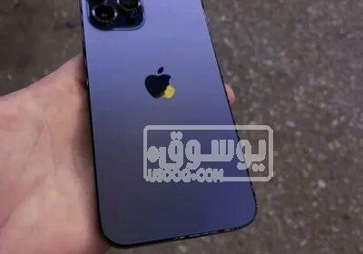 i phone 12 pro max للبيع 256 جيجا فى مدينتى بالقاهرة WhatsApp-Image-2023-04-05-at-11.30.06-AM