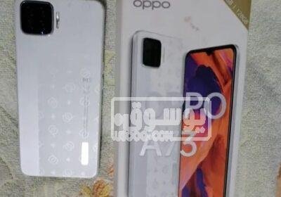 للبيع موبايل اوبو A73 مستعمل بحالة ممتازة فى النزهة بالقاهرة WhatsApp-Image-2023-04-13-at-11.13.15-PM