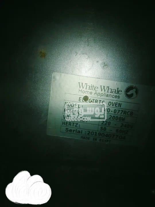 فرن وايت ويل استعمال خفيف بسعر قابل للتفاوض بالقاهرة