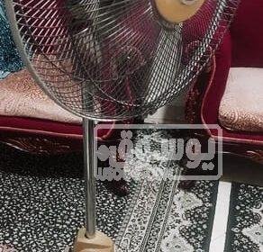 للبيع مروحة فريش مستعملة لا يوجد بها اى عطل WhatsApp-Image-2023-04-20-at-2.50.20-PM-1