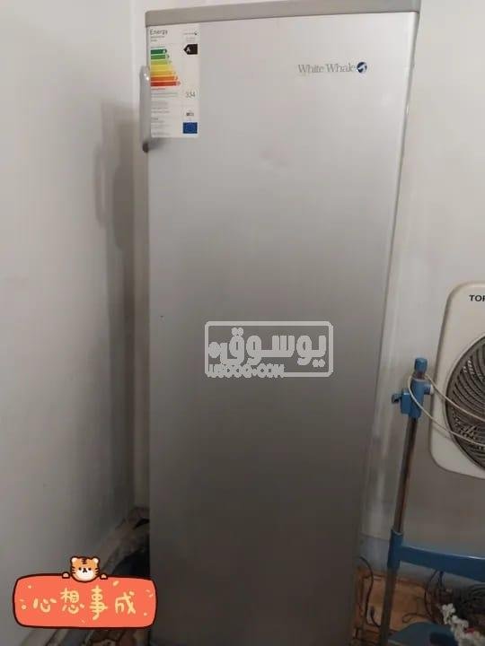 ديب فريزر وايت ويل استخدام خفيف للبيع