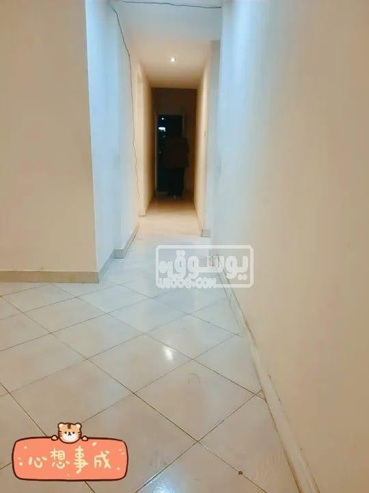 شقة واسعة وكبيرة تشطيب سوبر لوكس للايجار في المهندسين