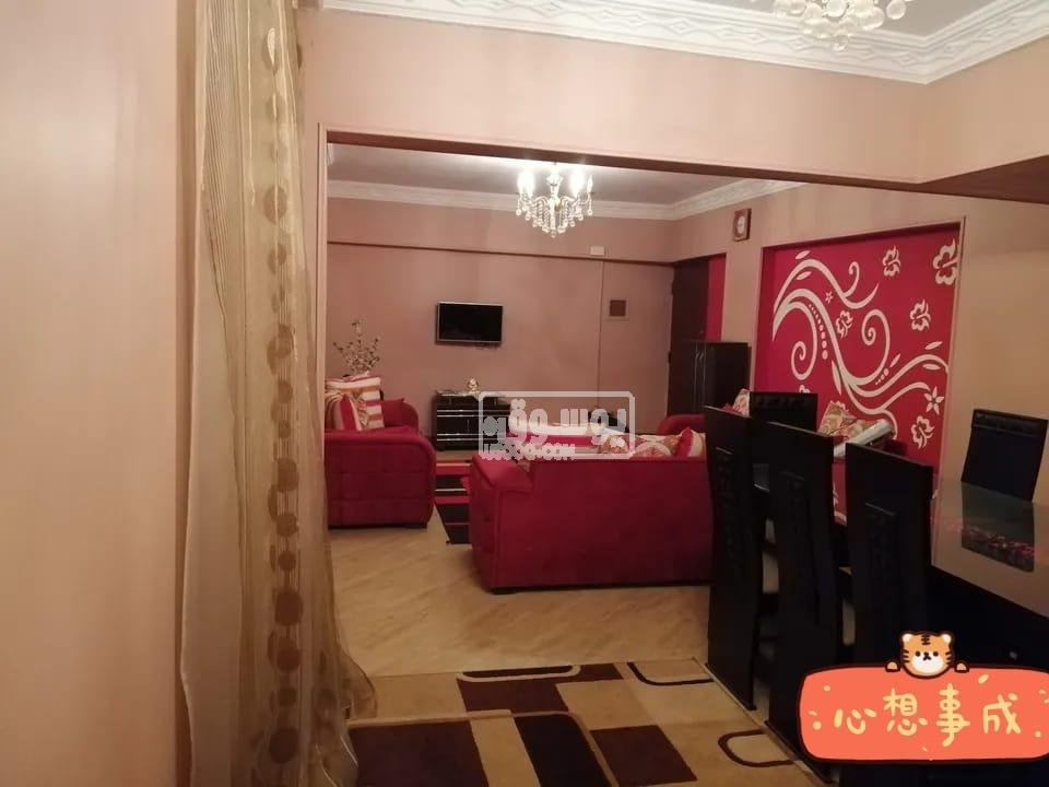 شقة مفروشة مكيفة للايجار اقل مدة ست شهور فى القاهرة