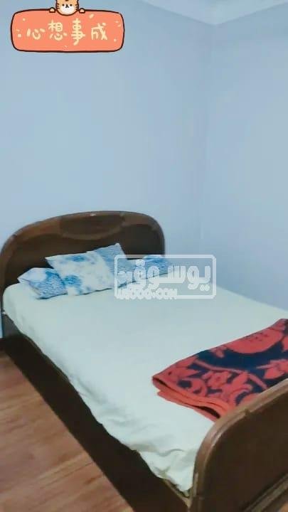 شقة للايجار اليومى او شهرى تطل على النيل مفروشة فى المعادى