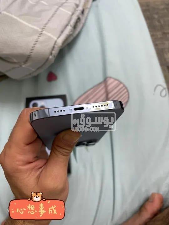 بسعر قابل للتفاوض فى حالة الجدية ايفون 13 برو ماكس للبيع