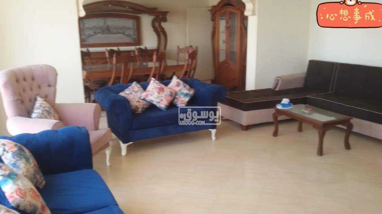 شقة ايجار يومى فيو النيل لكل الاوض فى المعادى