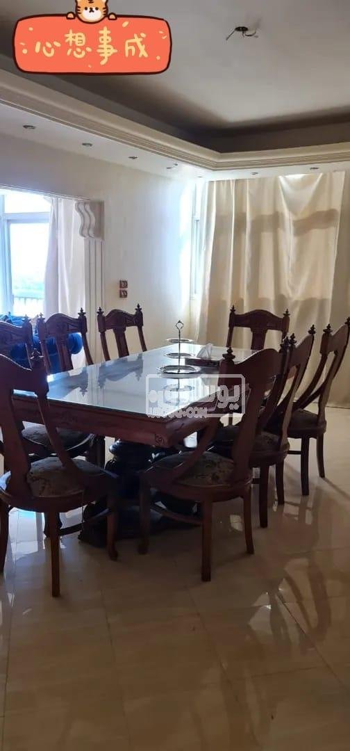 شقة ايجار يومى فيو النيل لكل الاوض فى المعادى