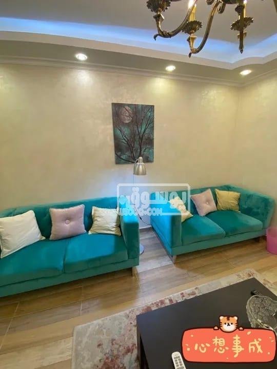 بسعر مش موجود فى اى مكان شقة مفروشة للايجار اليومى بالقاهرة