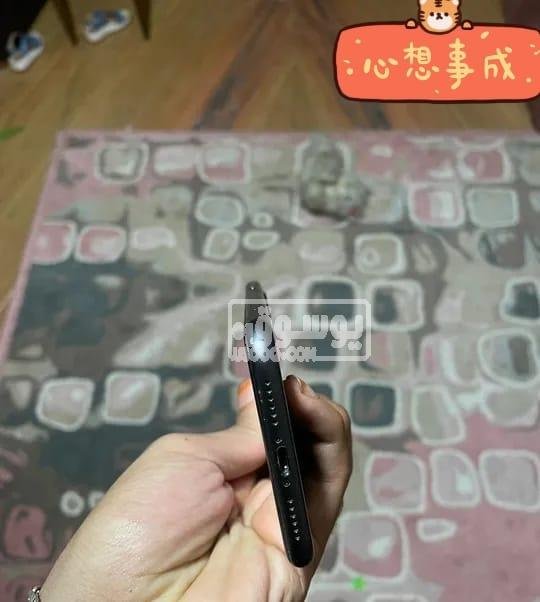 موبايل للبيع iphone 11 مستعمل بطارية 87% فى القاهرة