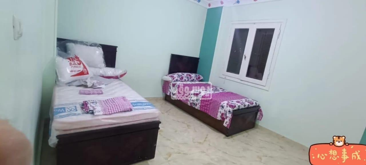 شقة للايجار مفروشة فى مدينة نصر اقل مدة ايجار ست شهور