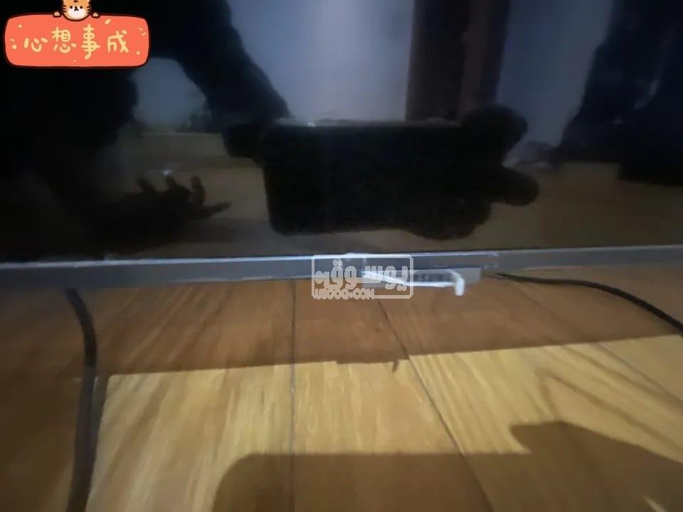 شاشة سامسونج 65 بوصة تستخدام شهر ونص بحالتها الجديدة للبيع