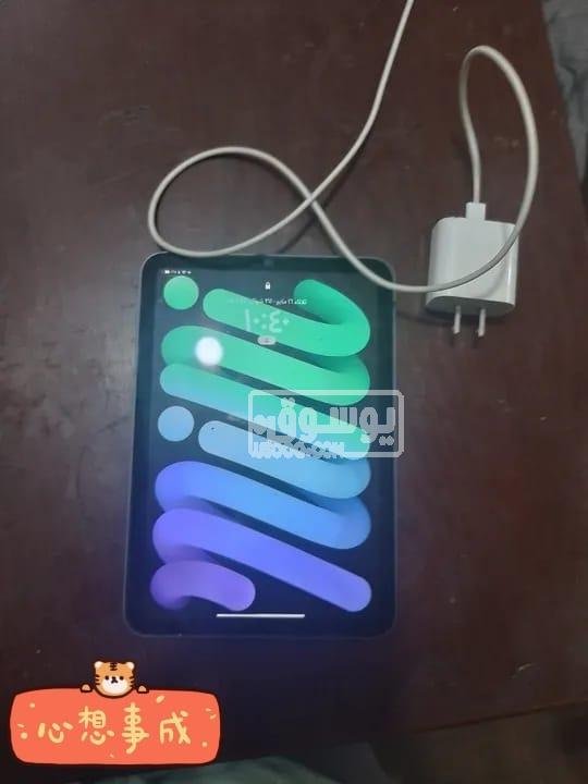 ايباد مينى 6 من ابل استخدام خمس شهور بحالة ممتازة