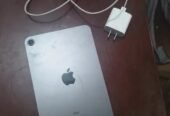 ايباد مينى 6 من ابل استخدام خمس شهور بحالة ممتازة ايباد مينى 6 من ابل استخدام خمس شهور بحالة ممتازة