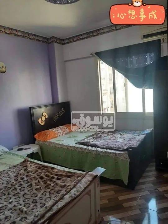 شقة للايجار من المالك بدون عمولة مفروشة مدينة بدر بالقاهرة