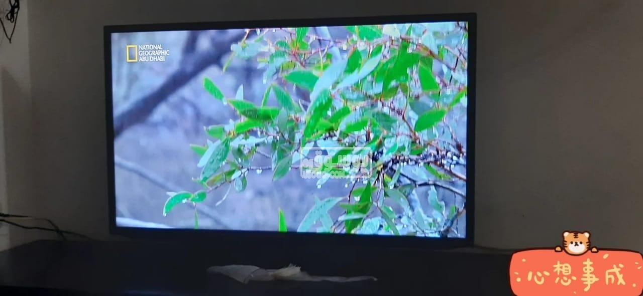 شاشة سامسونج استخدام خفيف بحالة ممتازة للبيع فى المعادى