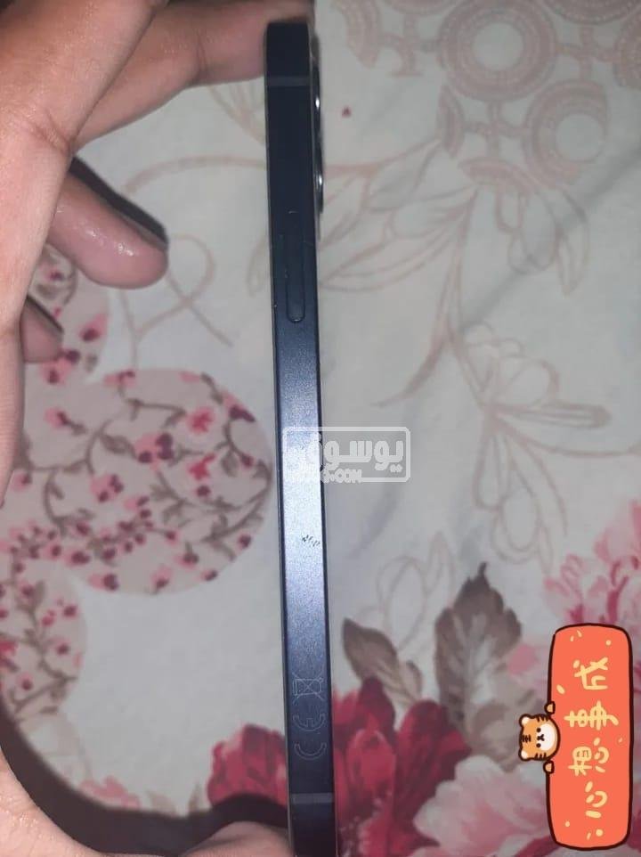 تلفون للبيع ايفون 12 مستعمل بحالة ممتازة فى مدينة نصر