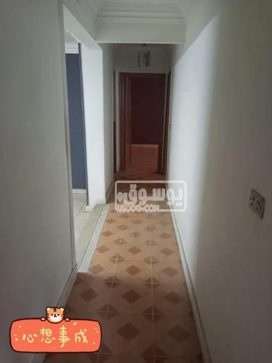 شقة للإيجار تشطيب لوكس دور ثامن اسانسير دفع شهرين تامين