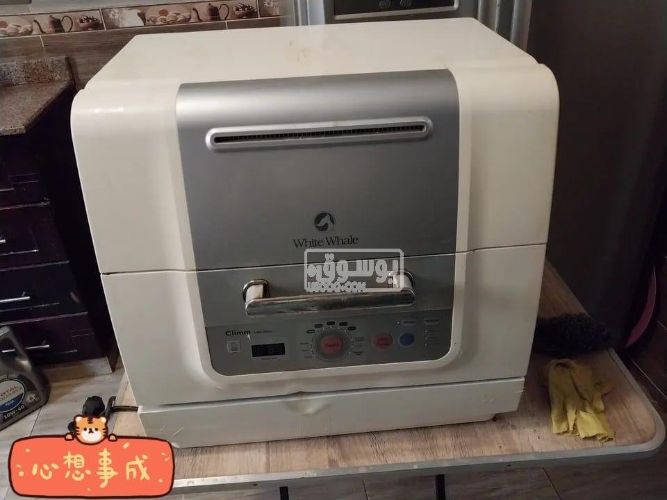 غسالة اطباق وايت وايل مستعملة بحالة جيدة فى القاهرة