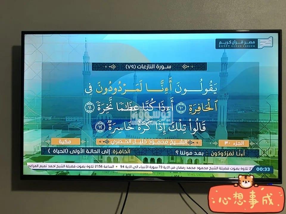 شاشة تورنيدو مستعملة بحالة ممتازة ما زالت فى الضمان