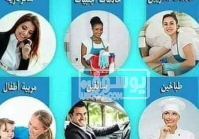 جليسات مسنين مربيات عاملات نظافة متاحة لجميع المحافظات010179 382745293_122121230942020605_4924459021805924512_n-1