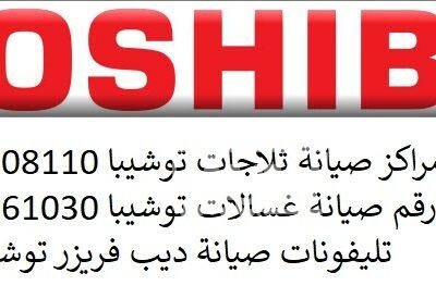 الوكيل المعتمد لثلاجات توشيبا حدائق الاهرام 01010916814 3